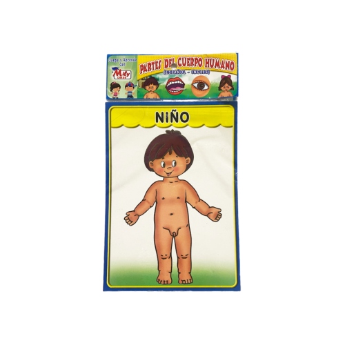 Distribuidora Coquito: Partes del cuerpo - Niño