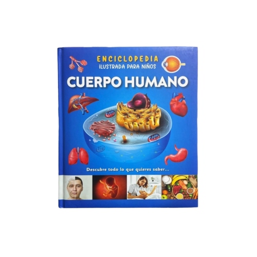 Distribuidora Coquito: Cuerpo humano