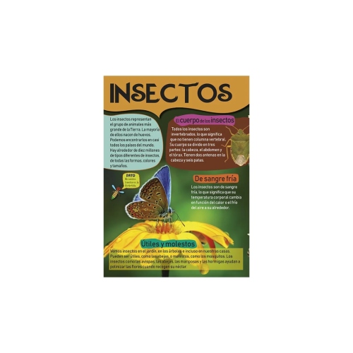 Distribuidora Coquito: Mi Gran Libro de Insectos